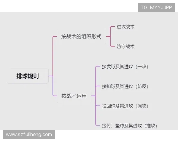 上海排球队反击战术解析与深度剖析排球竞技的魅力与挑战