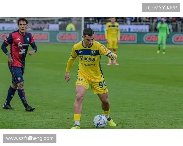 佛罗伦萨与维罗纳在线直播对决精彩回顾与赛后分析